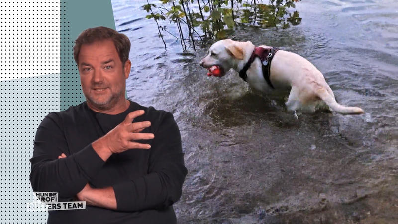 Wasserjunkie Luna lässt sich nicht aus dem See holen