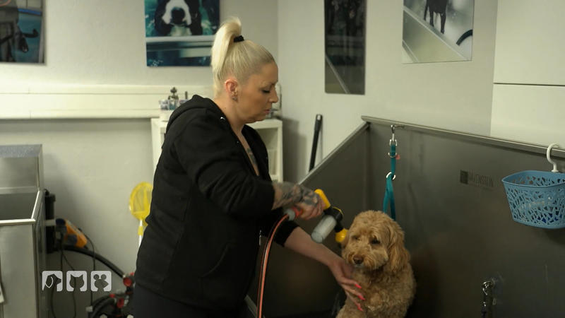 Bei Pet Stop wird Hand in Hand gearbeitet