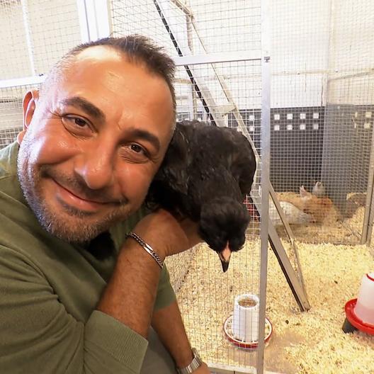 Liebe auf den ersten Blick zwischen Huhn und Mensch