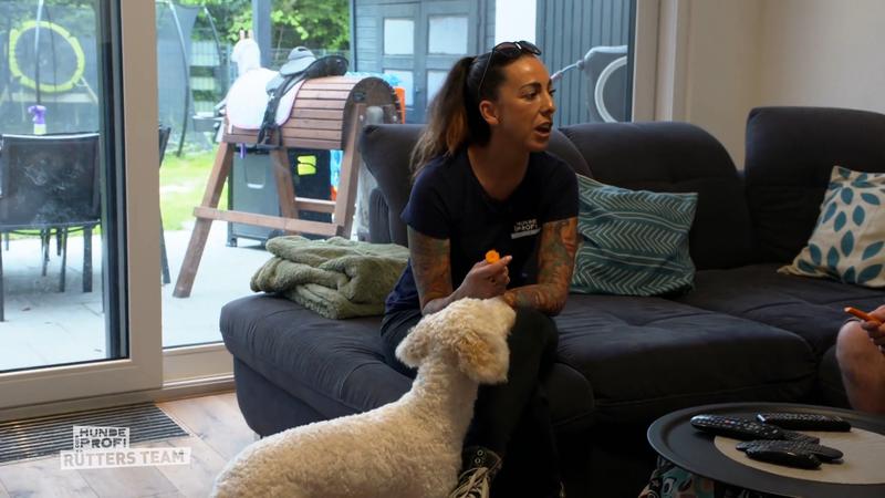 Hundetrainerin Ellen Marques bringt Manieren bei
