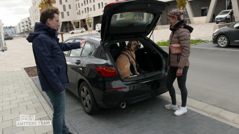 Das Training hat sich gelohnt