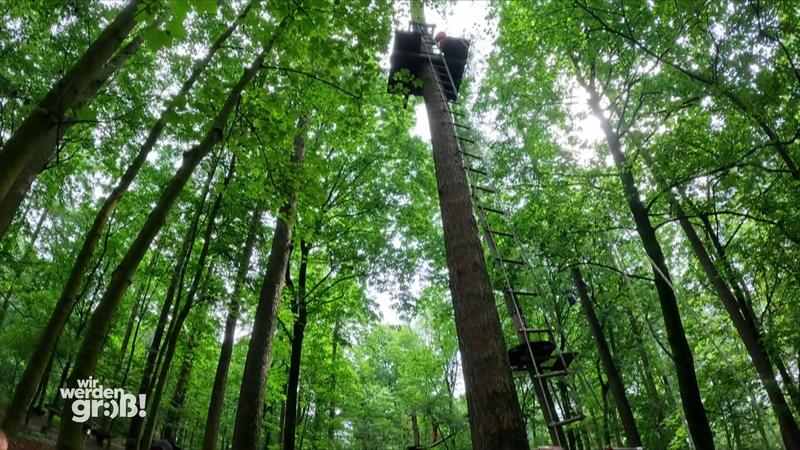 Teenies stellen sich dem Test in 15 Metern Höhe