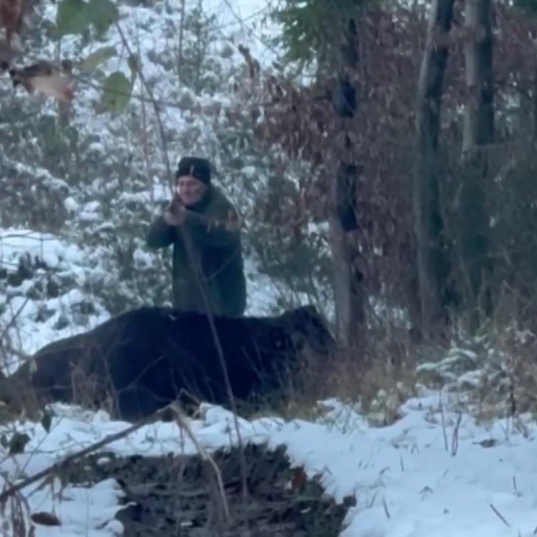 Kuh Hilde flüchtet wieder in den Wald!