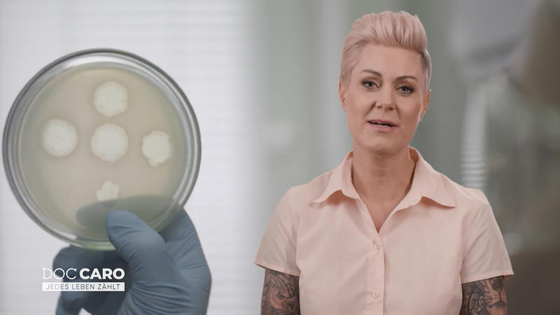 Die Phagentherapie könnte für viele eine Lösung sein