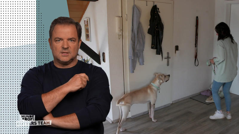 Wenn Frauchen nicht da ist, wird Amora panisch