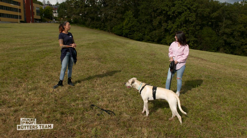 Amora braucht viel mehr Training