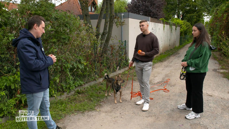 Wie reagiert Henry jetzt in Alltagssituationen?