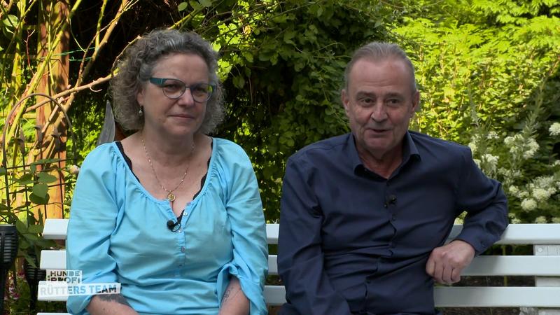 Pudel-Mix Emil meidet Frauchen Christine