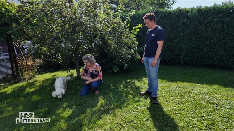 Hundetrainer Marcel arbeitet an der Bindung