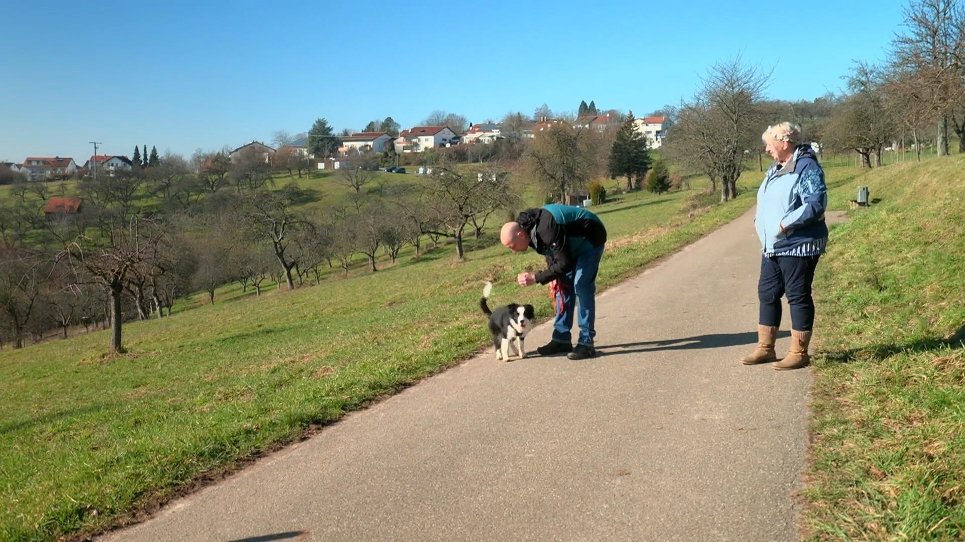 Gemeinsames Training bei Familie Kordick