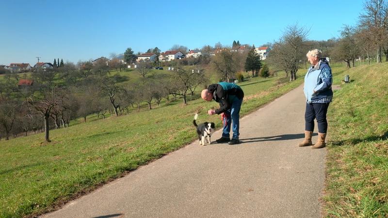 Gemeinsames Training bei Familie Kordick