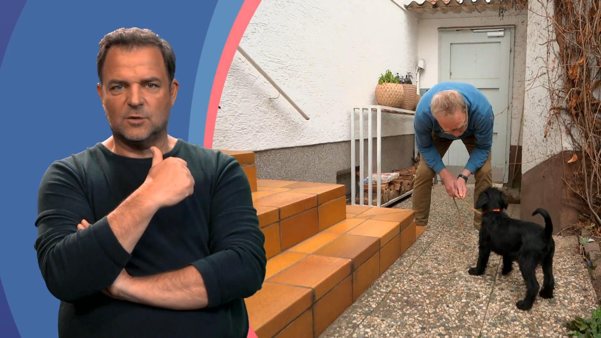 Der erste Spaziergang mit Welpe Hilde