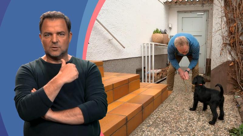 Der erste Spaziergang mit Welpe Hilde