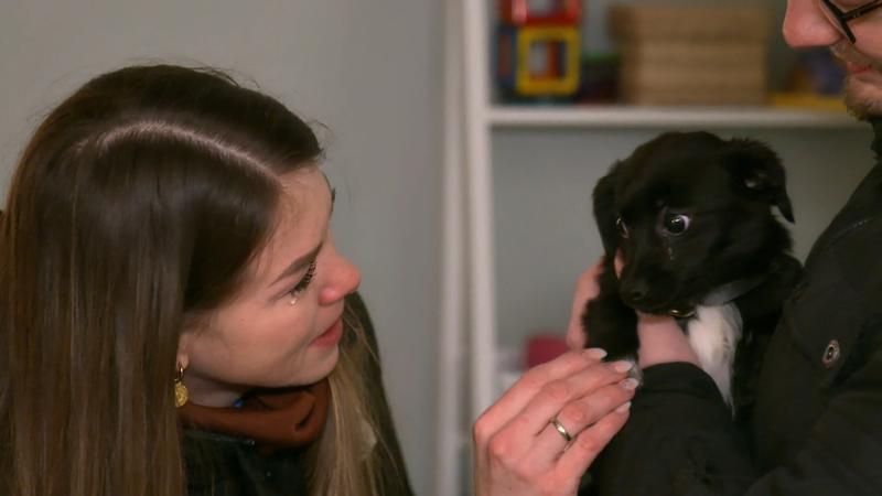 Phibi zieht bei Familie Amende ein