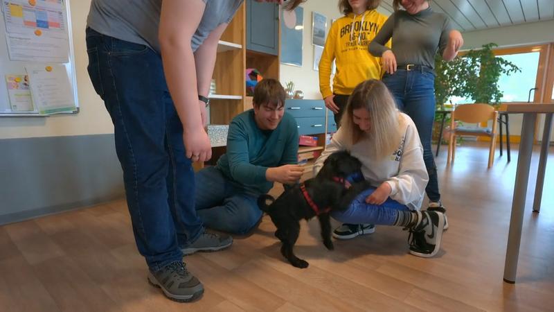 Hilde erobert Jens' Arbeitsplatz