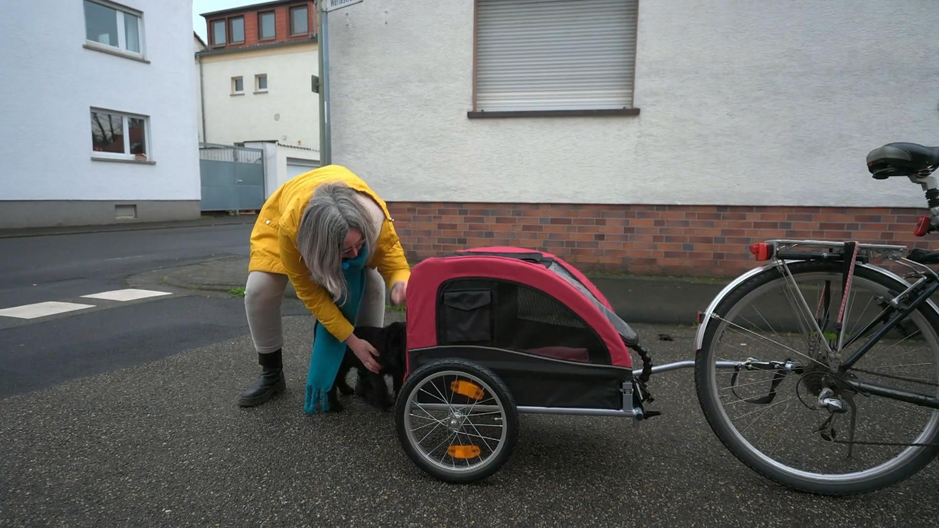 Fahrradanhänger für Welpe Hilde