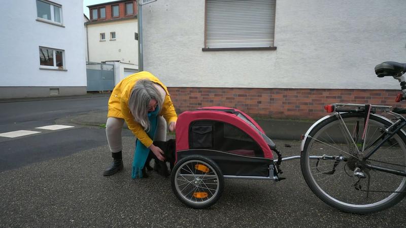 Fahrradanhänger für Welpe Hilde