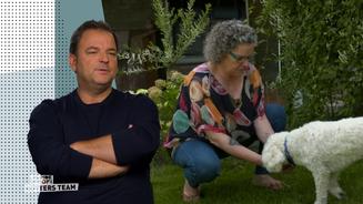 Pudel Emil gruselt's vorm Frauchen