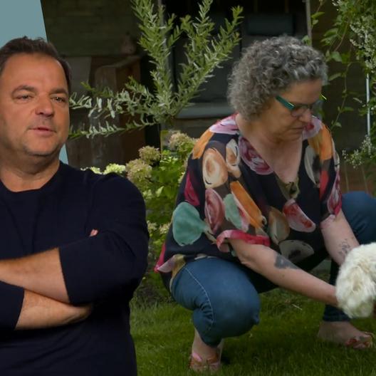 Christine hat sich sofort in Pudel Emil verliebt, doch er leider nicht in sie