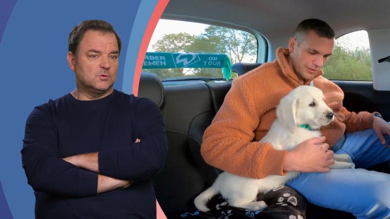 Retriever-Welpe Leila bringt frischen Wind