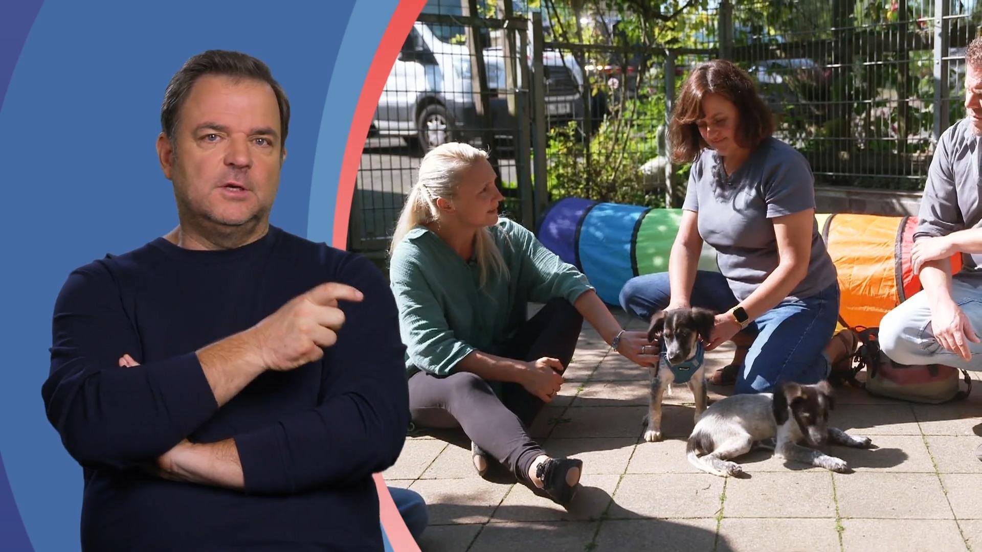 Großer Abschied im Welpenwaisenhaus