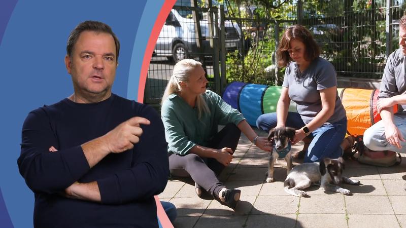 Großer Abschied im Welpenwaisenhaus