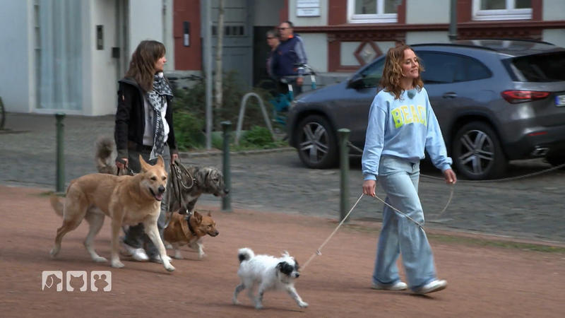 Wichtige Regeln für das Zusammenleben in der Stadt