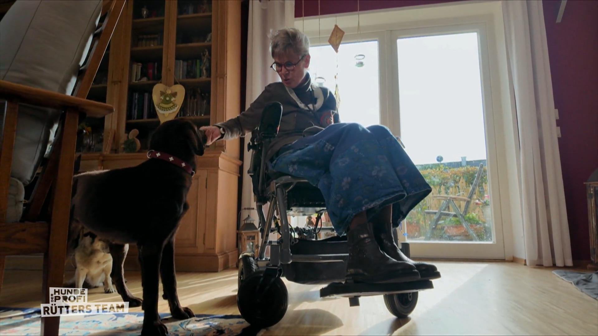 Meggi soll ein Assistenzhund werden