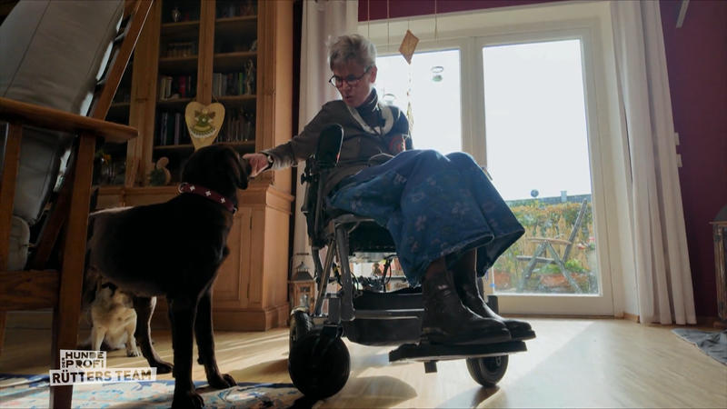 Meggi soll ein Assistenzhund werden