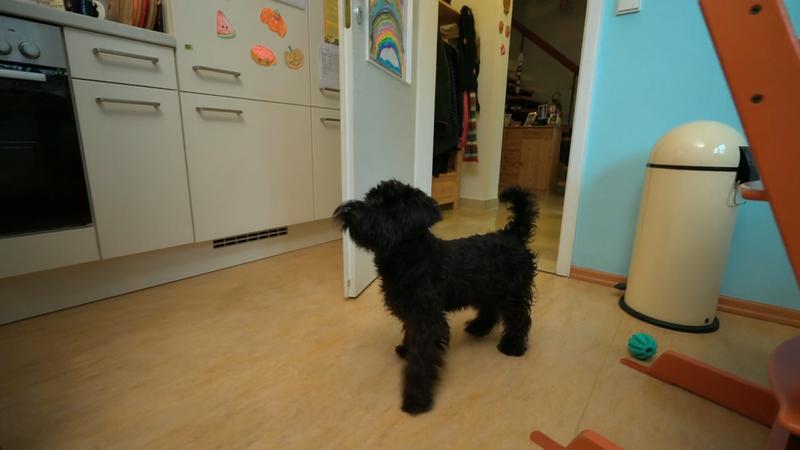 Familie Kühn braucht starke Nerven