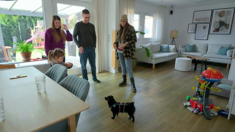 Phibi mischt das Leben der Amendes auf