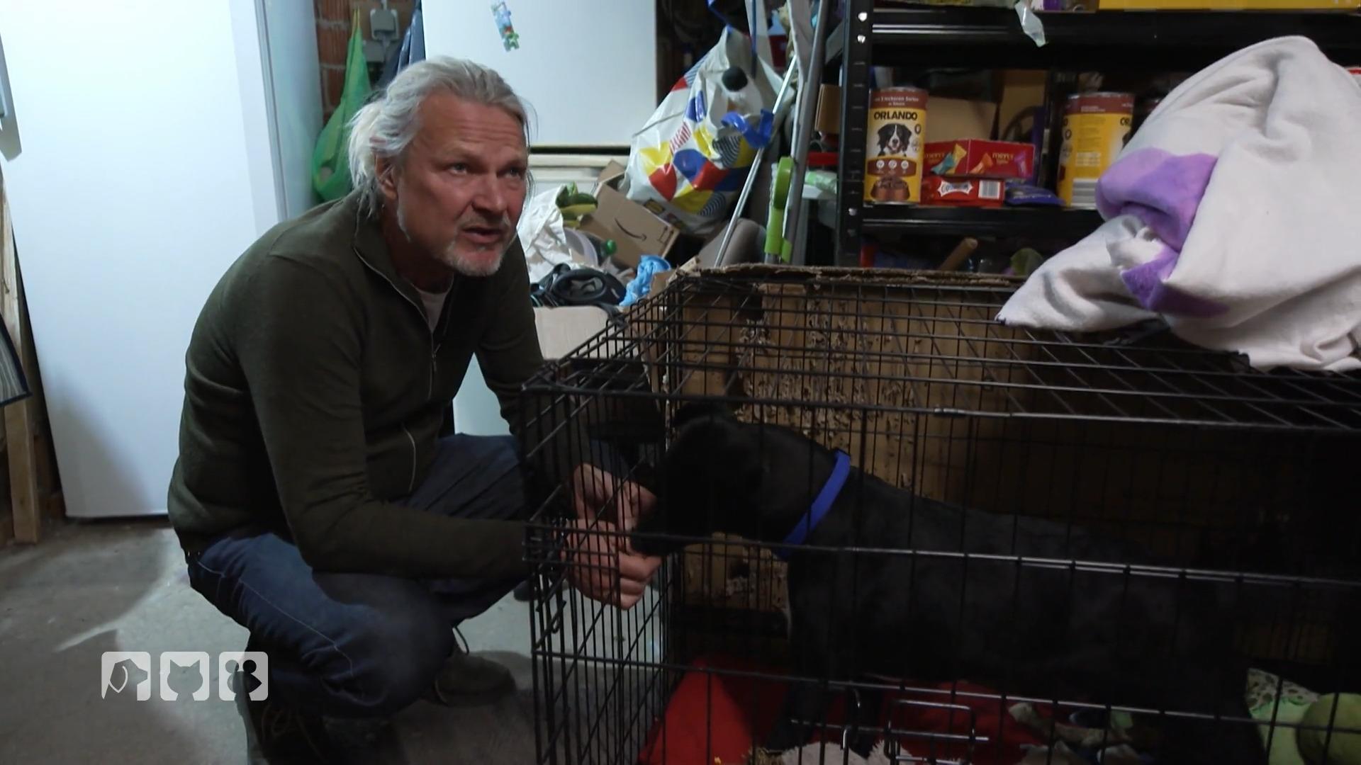 Frank Weber trifft Handicap-Hund Bandit