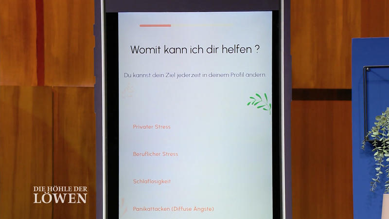 Die erste Hilfe bei mentalen Problemen