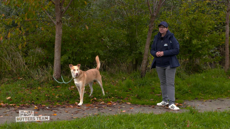 Trainerin Melle versucht die Konflikte mit Bolt zu lösen