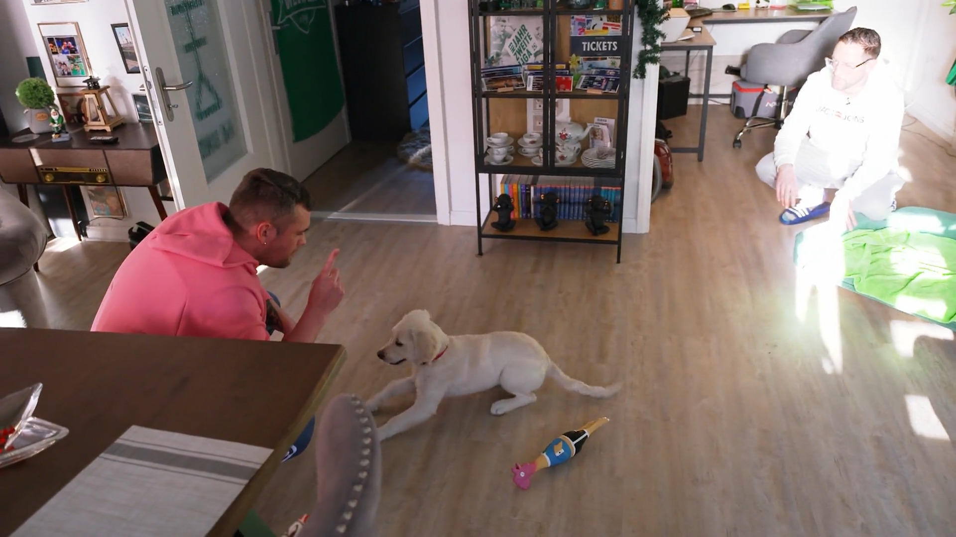 Leila tanzt ihren Besitzern auf der Nase rum