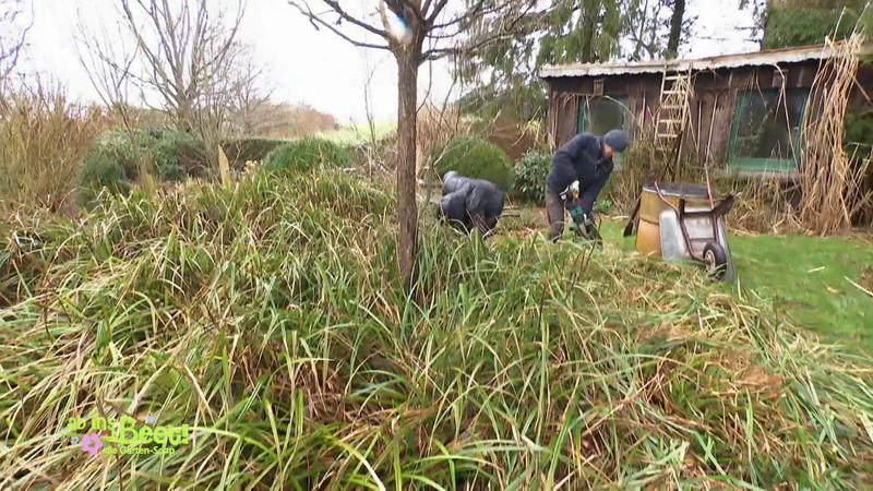 Das Gewächshaus wartet seit Ewigkeiten auf den Aufbau