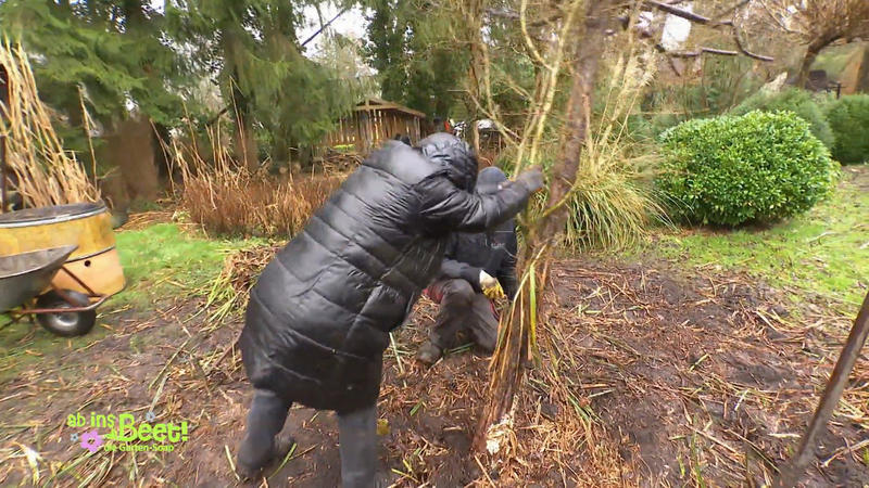 Doch erst muss der Baum von Utes Vater umziehen