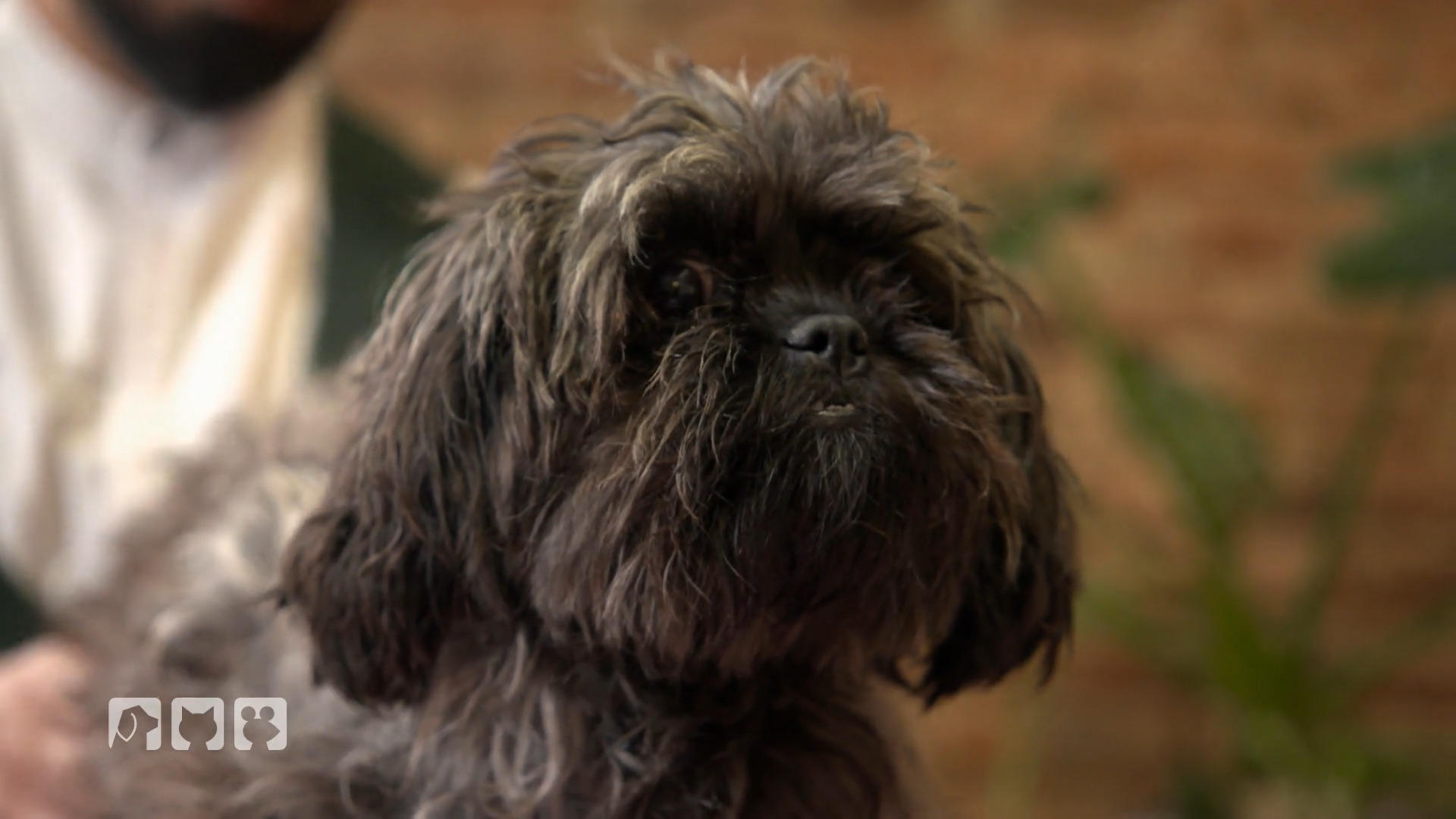 "Prinzessin Unterbiss" beim Frisör