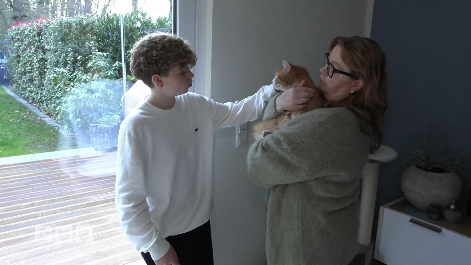 Diese Familie muss ihre Katzen abgeben