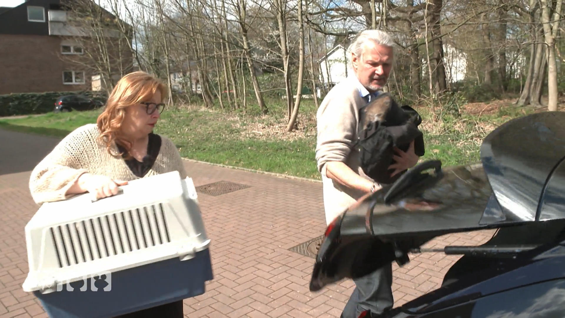 Frank Weber hat ein neues Zuhause für die Katzen gefunden