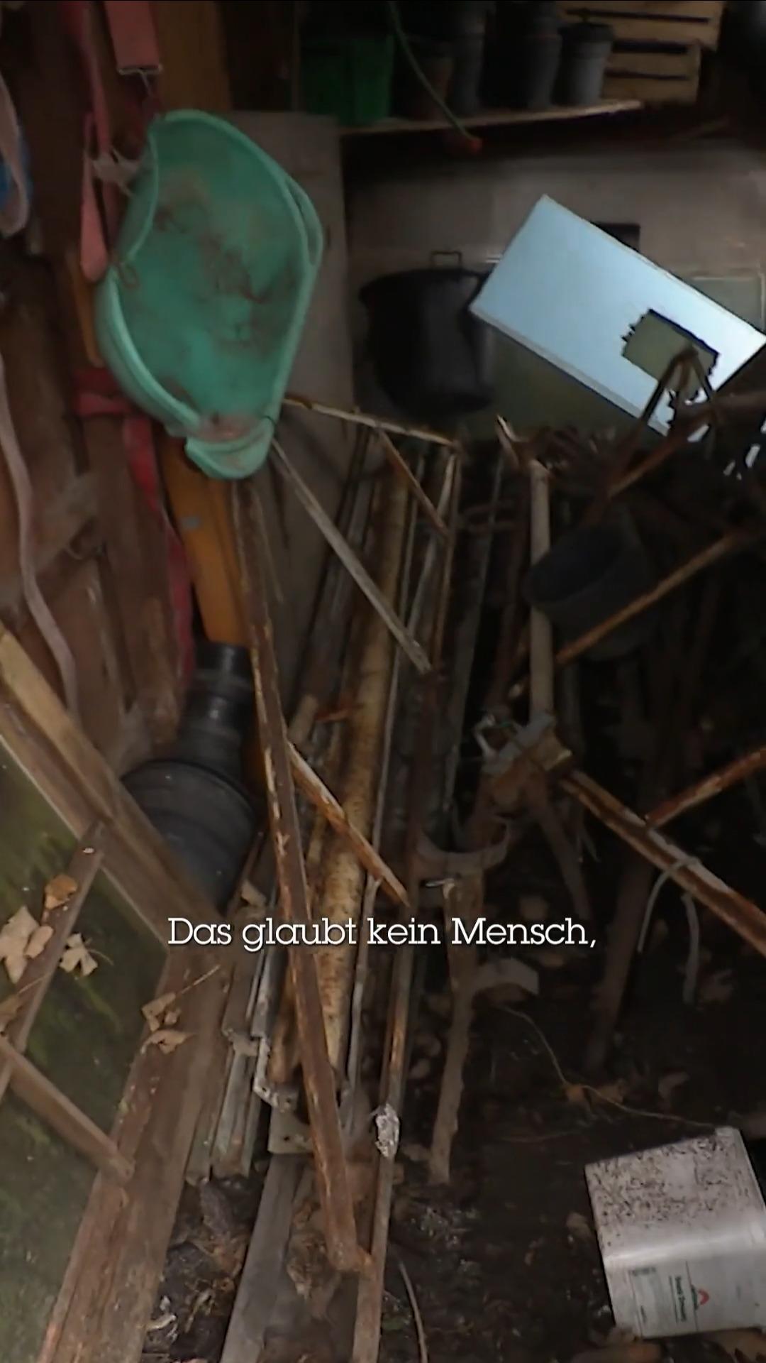Chaos im Garten