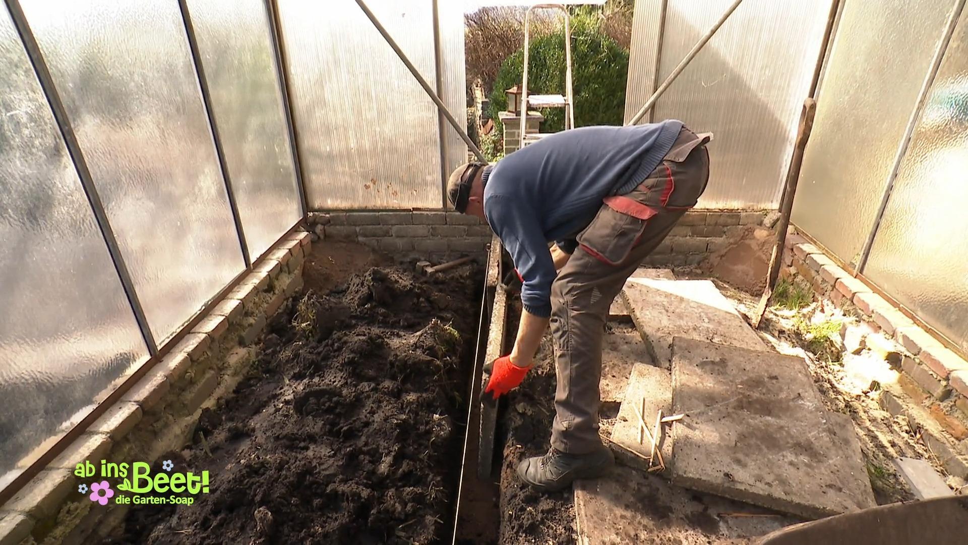 Jetzt wird das Gewächshaus zum Tomaten-Paradies