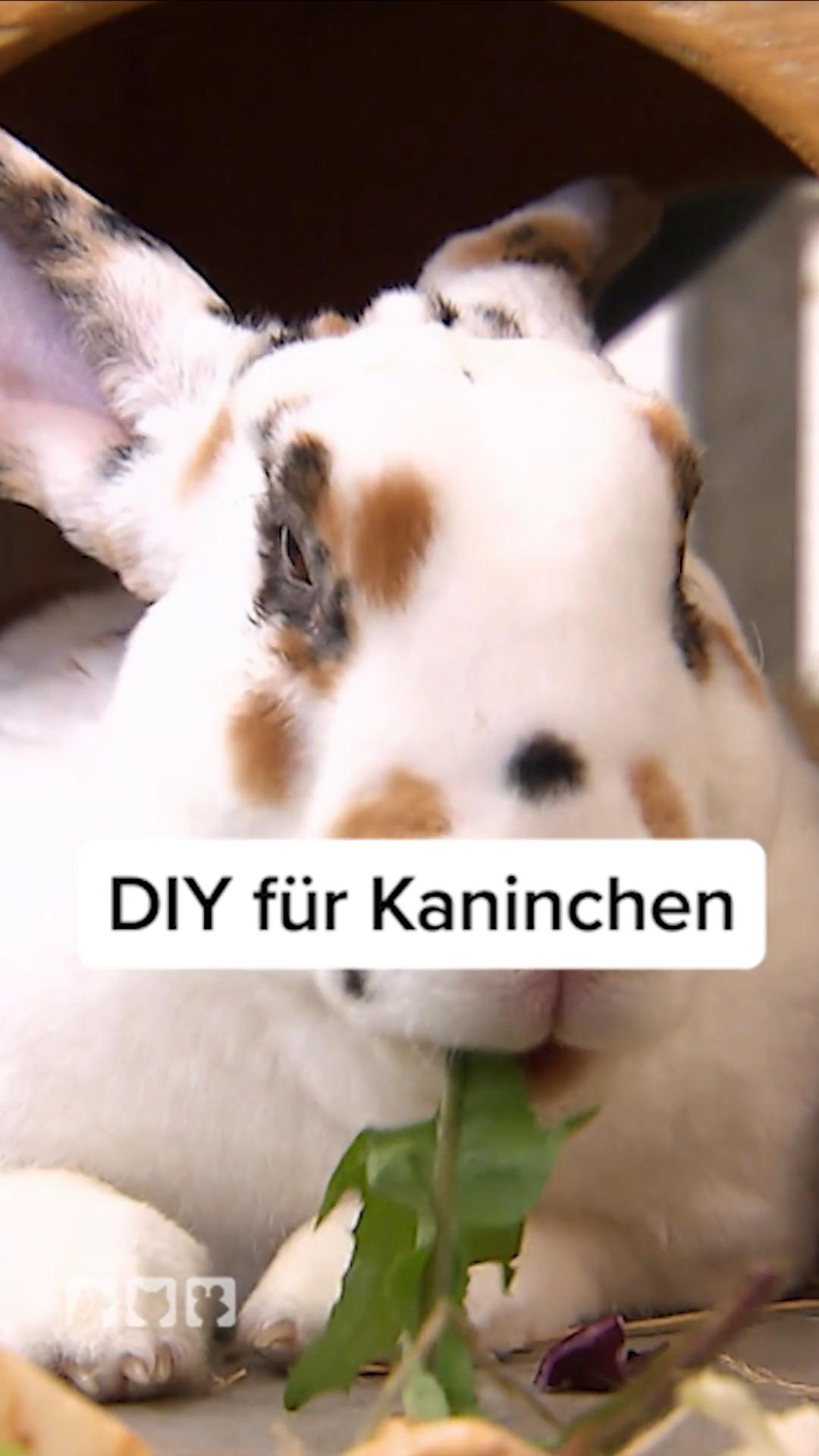 Was entertaint die Müffler mehr?