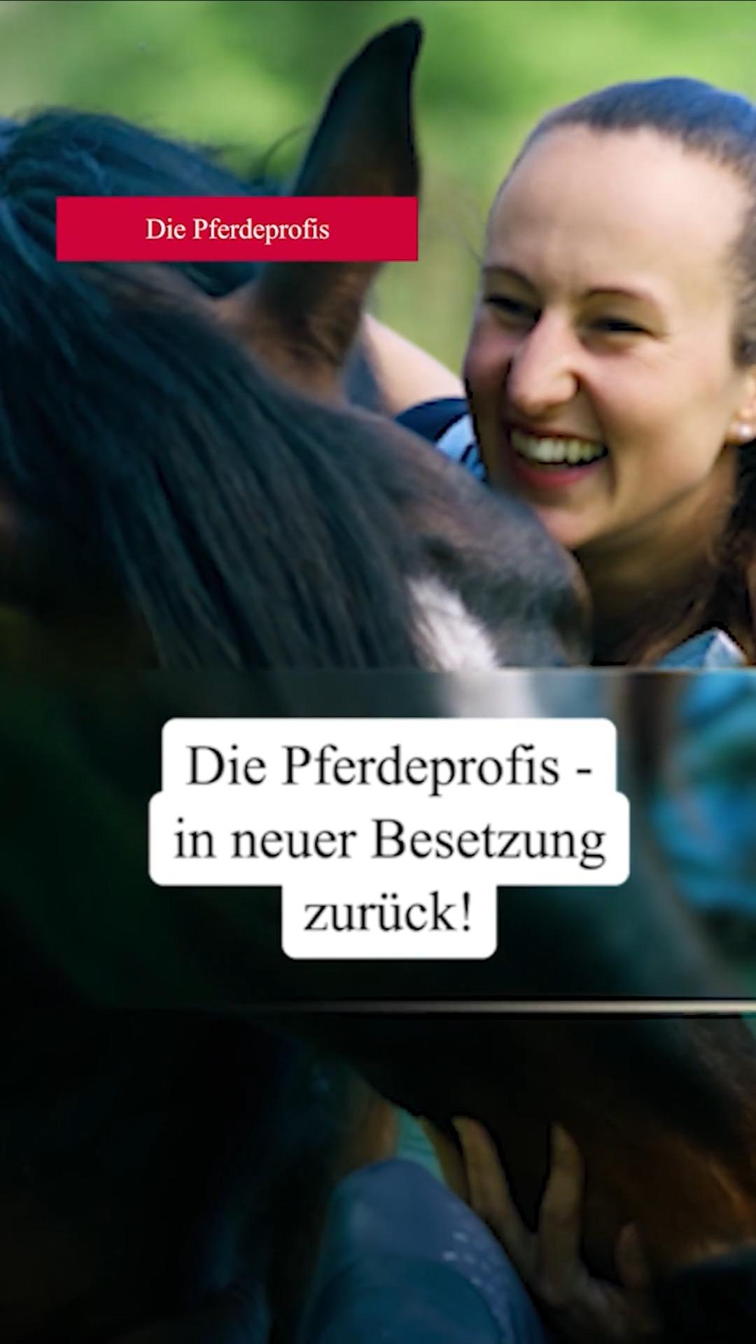 Die Pferdeprofis sind zurück