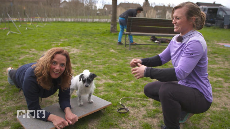 Kate testet: Zirkeltraining mit Hund
