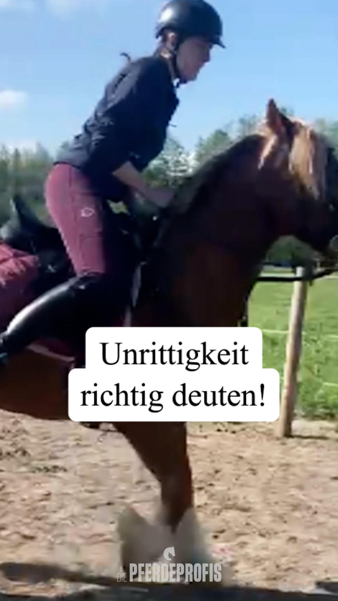 Ginger hat keinen Bock auf Reiten
