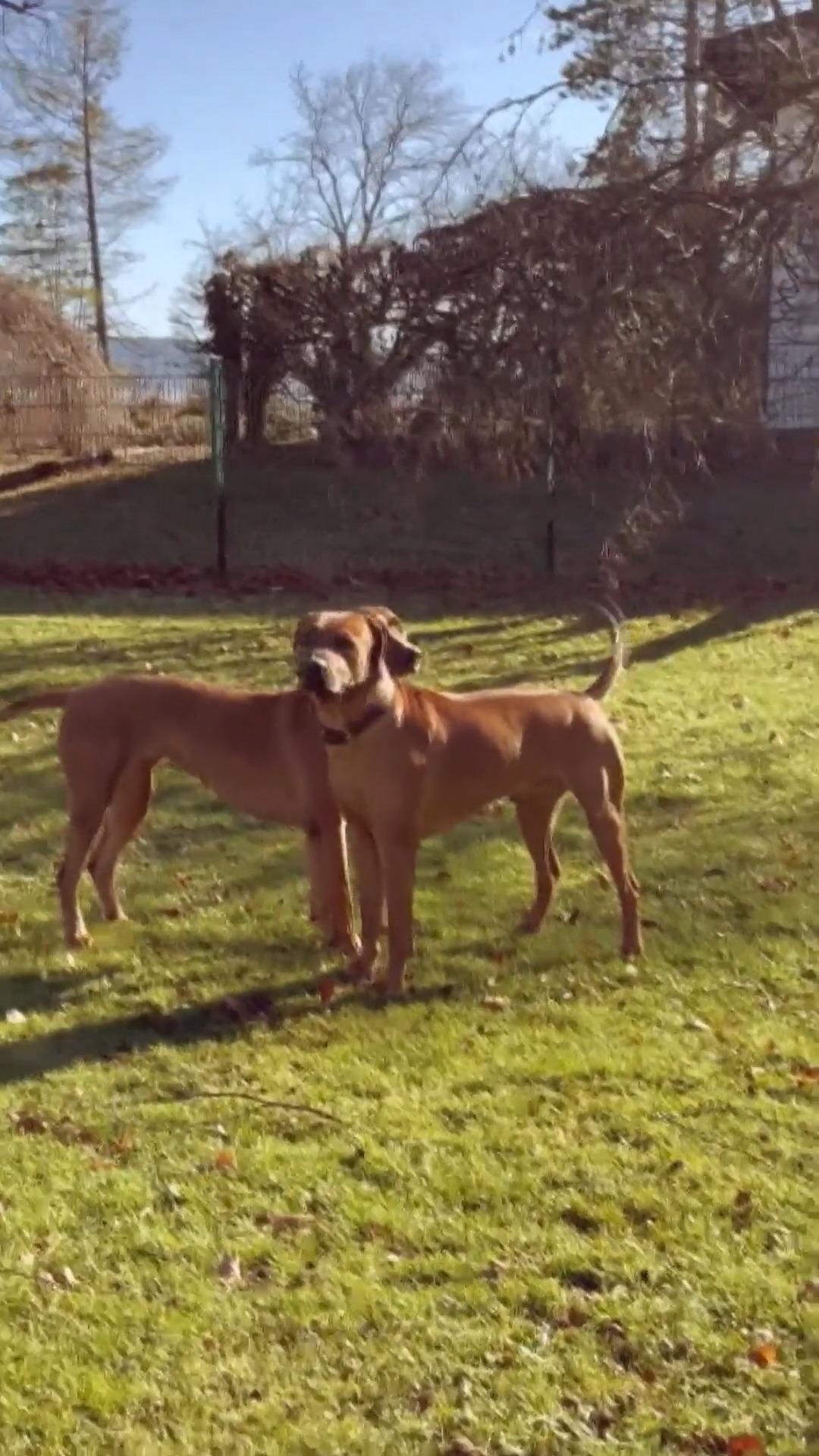 Zwischen George und Lisbeth muss es "funken"