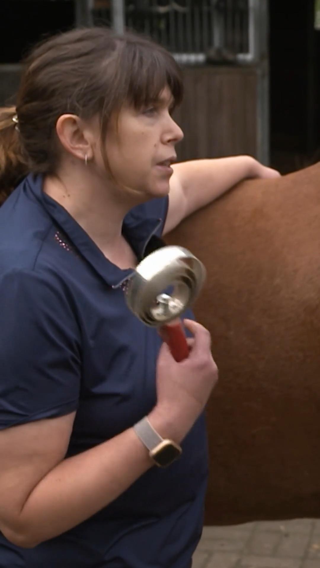 Sarah traut sich nicht mehr auf ihr Pferd Ginger