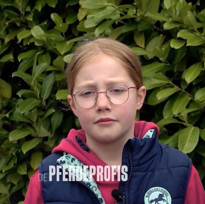 Wenn das Traumpferd zur Herausforderung wird