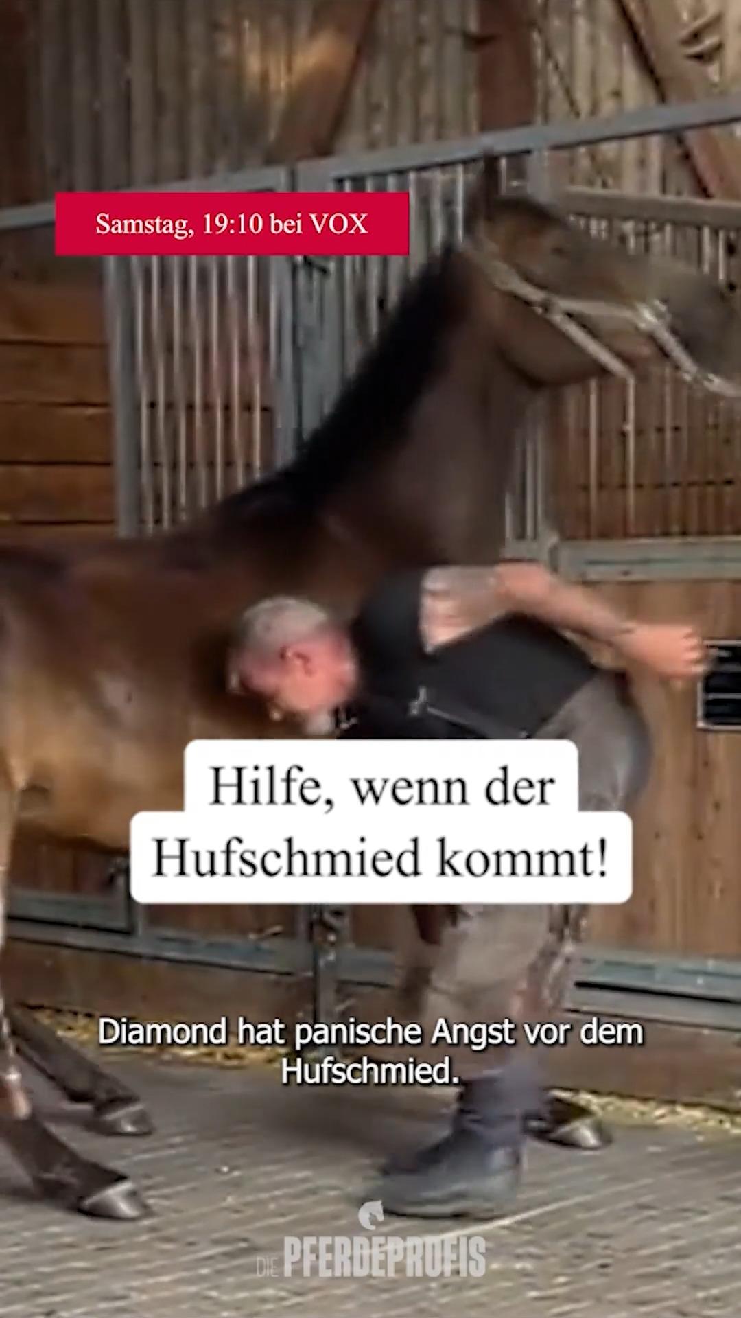 Diamond hat panische Angst